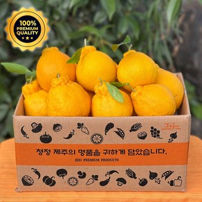 [바먹농장] 제주 한라봉 당도선별 명품선물세트 실속 가정용, 1개, [가정용] 제주 한라봉 2.5kg 중과 10-12과