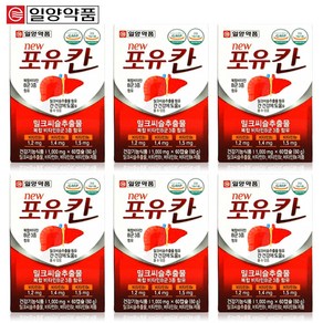 일양약품 포유칸 간 건강기능식품 밀크씨슬 비타민B군, 6개, 60g