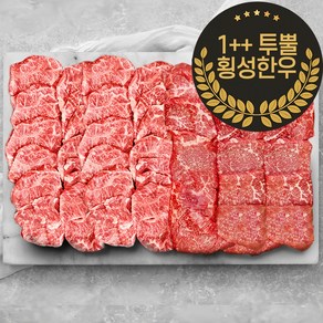 1++ 투뿔 횡성한우 구이 배부른 마블링 모둠 한판 2종 세트 800g, 1세트