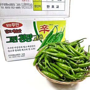 기린농산 국내산 청양고추(상), 2개, 1kg