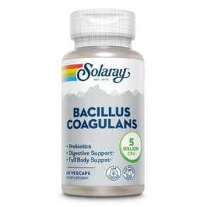 솔라레이 Bacillus Coagulans 50억 유산균 CFU 60베지캡슐, 60정, 1개