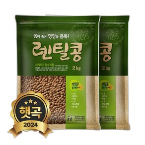 현대농산 갈색 렌틸콩 4kg (2kgx2봉) 렌즈콩, 1개