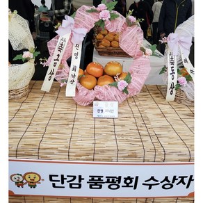 진영단감축제 금상 단감 부유 아삭아삭 제철 감