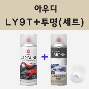 아우디 LY9T 미소스슈바르츠 주문 스프레이 카 페인트 + 모비스 투명마감용스프레이 200ml, 1개