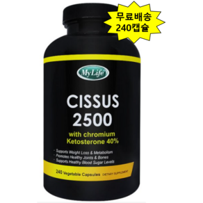 씨서스 240캡슐 4개월분 *1병 시서스 2500mg 시저스다이어트, 240정, 1개