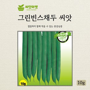 아시아종묘 그린빈스채두 씨앗 10g, 1개