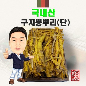 국내산 구지뽕나무뿌리(구지뽕뿌리) 1단 (경북 영천) 국산, 1개