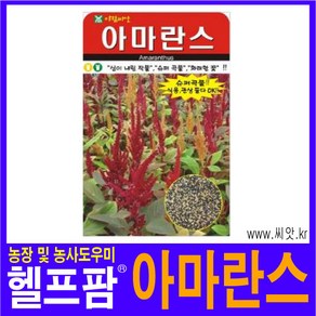 헬프팜 아마란스 4000립 씨앗 아람종묘 종자, 1개