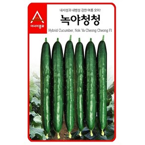 녹야청청 오이 씨앗 40립