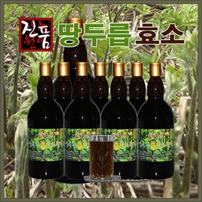 장녹원 땅두릅효소 1100ml, 2개, 1.1L