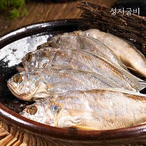 [성지굴비] 영광법성포 진공포장굴비 1팩 20미(800g 내외 15-17cm내외) 찌개