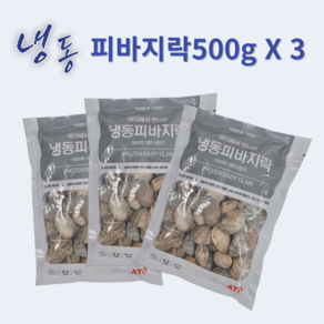 [하나수산] 냉동피바지락 500g, 3개