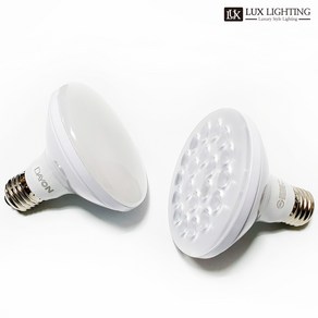 데이온 LED PAR30 20W 밝기조절 집중형 확산형 KS인증 디밍 밝은 할로겐전구 파삼공 파30 레일조명 램프 조광기 사용가능, 주광색, 20개