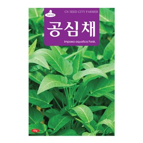 세인화분 공심채씨앗 10g 채소씨앗 공심채 씨앗 씨, 1개