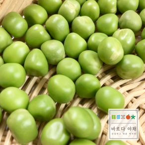 바르다야채 국내산 제철수확 햇껍질완두콩 1kg 2kg 1망(4kg내외), 1개