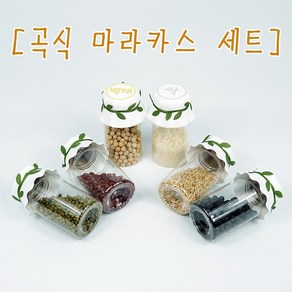 곡식 마라카스 곡식관찰