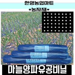 농자재-양파마늘유공비닐/양파비닐/마늘비닐/농업용유공멀칭비닐/텃밭/흑색/비니루