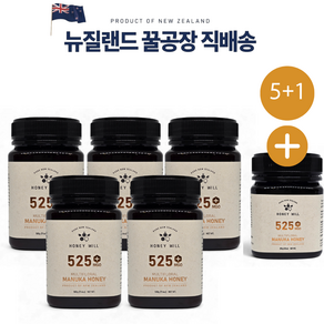 허니윌 마누카꿀 MGO525 UMF15+동일수치 뉴질랜드 프리미엄 마누카 허니, 5개, 500g