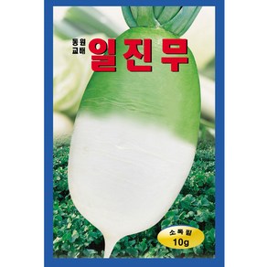 일진무 씨앗 10g 65일 근조생 무우씨 김장 가을무 종자, 1개