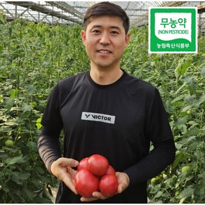 [무농약] 퇴촌 찰 토마토 당일수확 배송 2kg(소과) 4kg 4kg+4kg, 1박스