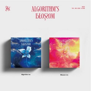 큐더블유이알 (QWER) - 미니앨범 2집 : Algoithm's Blossom [2종 SET]