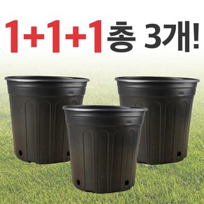 지피코 식물 화분 플라스틱 대형 이태리 노지 3P, 3개, 블랙