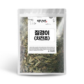 백장생 국내산 질경이 차전초 차, 300g, 1개