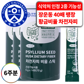 RKR 진짜 맛있는 식이섬유 6800mg 차전자피 비움 스틱, 14회분, 3개