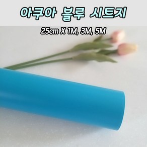 무광 아쿠아 블루 시트지 25cm X 1M 3M 5M 레터링 커스텀풍선 미니 롤시트지 실루엣카메오