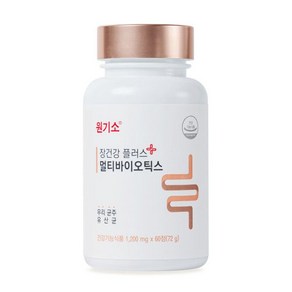 원기소정 옛날 원기소 플러스 영양제 60정