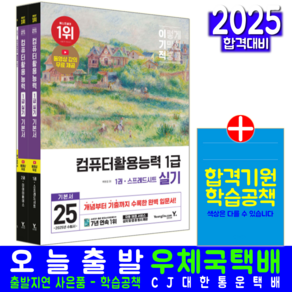 이기적 컴활 1급 실기 교재 책 컴퓨터활용능력 기본서 2025