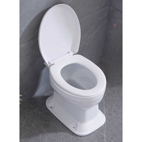 간이 건식 변기 이동식 재래식변기 현장 농촌 좌변기, 1개