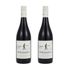 무알콜와인 논알콜 무알콜 샴페인 디스프루딴도 레드, 2개, 750ml