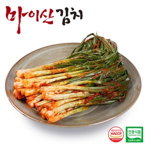 한국농협김치 전북대표 마이산 파김치1kg, 1개, 1kg