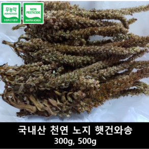 [송죽농장] 건와송 2024년산, 1개, 500g