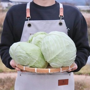 [야채마루] 국내산 양배추, 3개, (5kg내외)