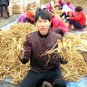 더굿진생 인삼 수삼 금산인삼 원수삼 난발삼 파삼 삼계 350g, 1개, (세척안함)알뜰형 350g(8~10뿌리)