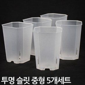 플라스틱 투명 사각 슬릿 롱화분 중형 5개세트 - 슬릿분 플분 플라스틱화분 모스그린 거실화분 인테리어화분 매장화분 중형화분 대형화분 원형화분