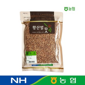 농협 국산 찰수수 (수수) 500g, 1개