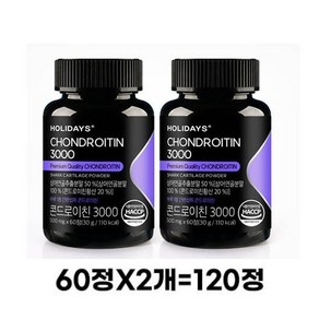 홀리데이즈 콘드로이친 3000 영양제 30g, 120정, 2개