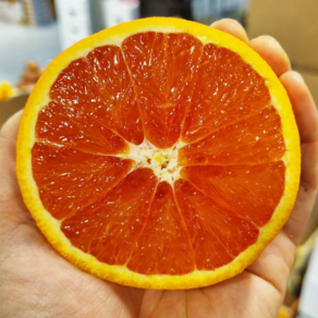 [20차완판신화] 자몽향 꿀맛가득 카라카라오렌지 오렌지, 1개, 2kg내외 (10과 로얄M과)