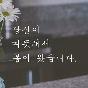 모노먼트 손글씨 감성 레터링 스티커 - 당신이 따뜻해서 봄이 왔습니다