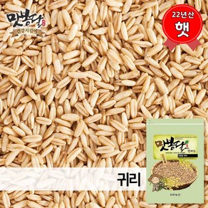 맛봉달 23년산 귀리 귀리쌀 오트밀 통귀리 캐나다산, 1개, 500g