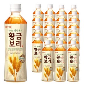 [본사직영] 롯데 황금보리차 500ml x 24펫