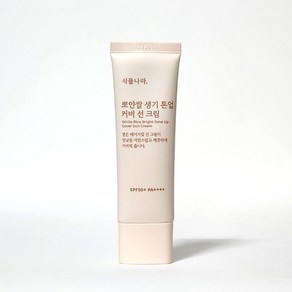 [리뉴얼] 식물나라 뽀얀쌀 생기 톤업 커버 선크림 50ml, 3개