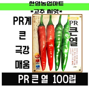 고추-PR큰열 큰청양 고추 아주매운 씨앗 종자 100립, PR큰열100립, 1개