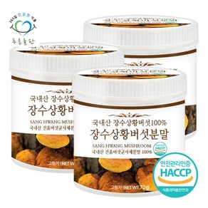 푸른들판 국내산 장수 상황 버섯 분말 가루 70g 3통 국산 상목이버섯 상왕버섯 목질진흙버섯 차, 3개