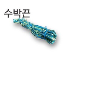 이도스포츠 싱싱한 수박 탱탱볼 공 22cm (수박끈 별도)