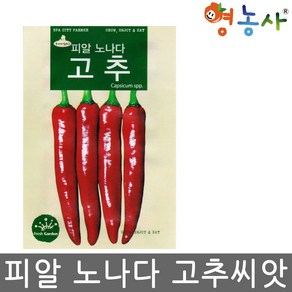 피알 노나다 고추 씨앗 15립 고추씨 종자 키우기 조생종, 피알노나다고추씨앗, 1개