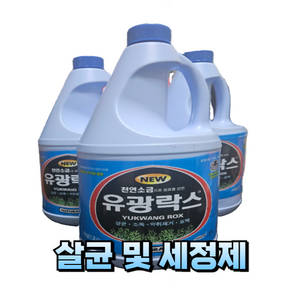 살균 소독제 세정제 유광 락스 2L